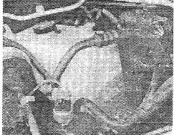 бачок охлаждающей жидкости находится в правом углу моторного отсека