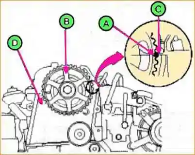 D4EA diesel timing drive