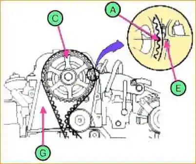 D4EA diesel timing drive