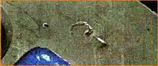 Как разобрать и собрать двигатель ВАЗ-21114