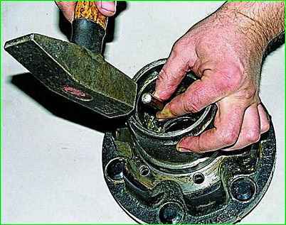 Reemplazo de rodamientos y puños de cubo de rueda delantera