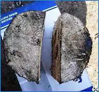 So wechseln Sie schnell den KamAZ-Liner