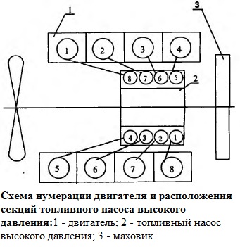 engine numbering scheme and injection pump sections arrangement