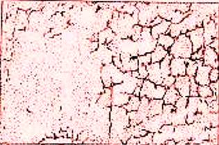 Виды и причины дефектов лакокра­сочных покрытий