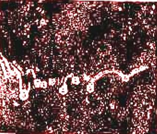 Виды и причины дефектов лакокра­сочных покрытий