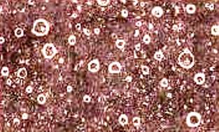 Виды и причины дефектов лакокра­сочных покрытий