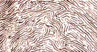 Виды и причины дефектов лакокра­сочных покрытий