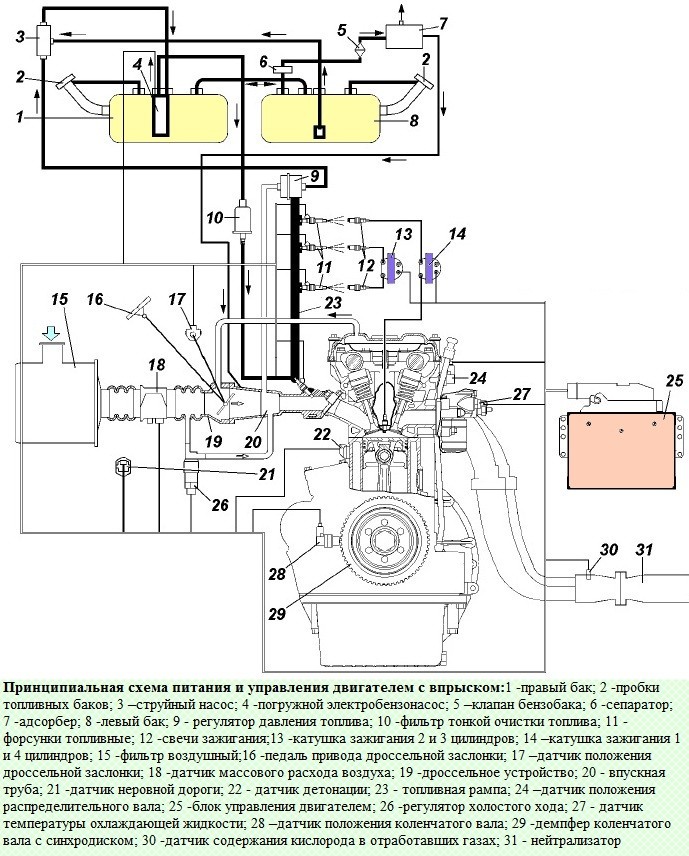 схема системы питания и управления двигателем с впрыском бензина