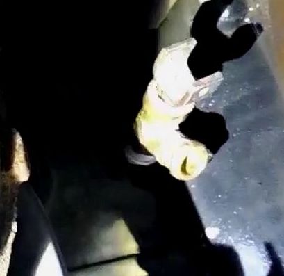 Как заменить охлаждающую жидкость двигателя автомобиля УАЗ Патриот