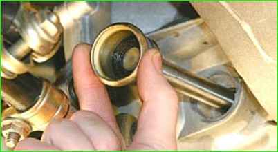 Ersetzen der Öldichtung der Schaltstange