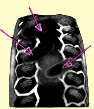 Виды износа протекторов шин автомобилей