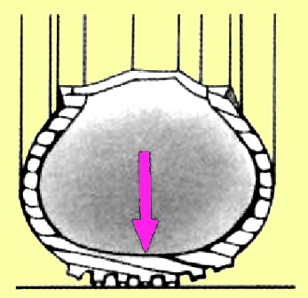 Виды износа протекторов шин автомобилей