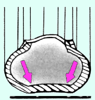 Виды износа протекторов шин автомобилей