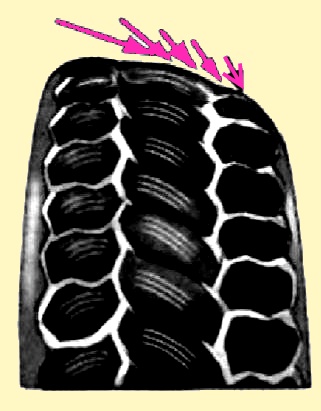 Виды износа протекторов шин автомобилей