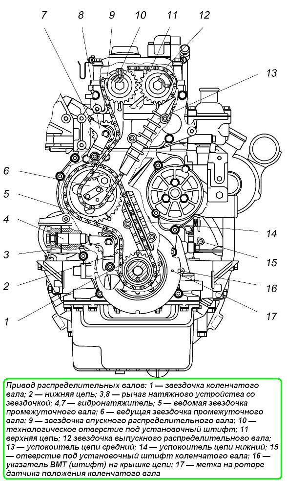 Привод распределительных валов ЗМЗ-5143.10