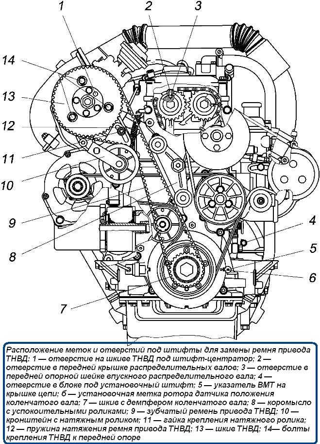 Расположение меток и отверстий под штифты для замены ремня привода ТНВД