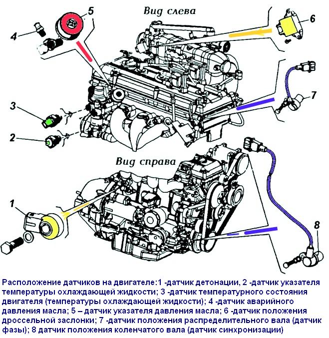 Расположение датчиков на двигателе ЗМЗ